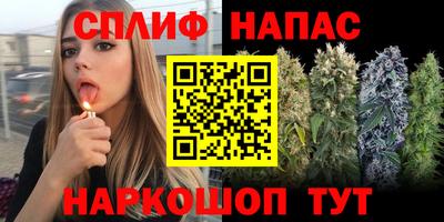 спиды Новозыбков